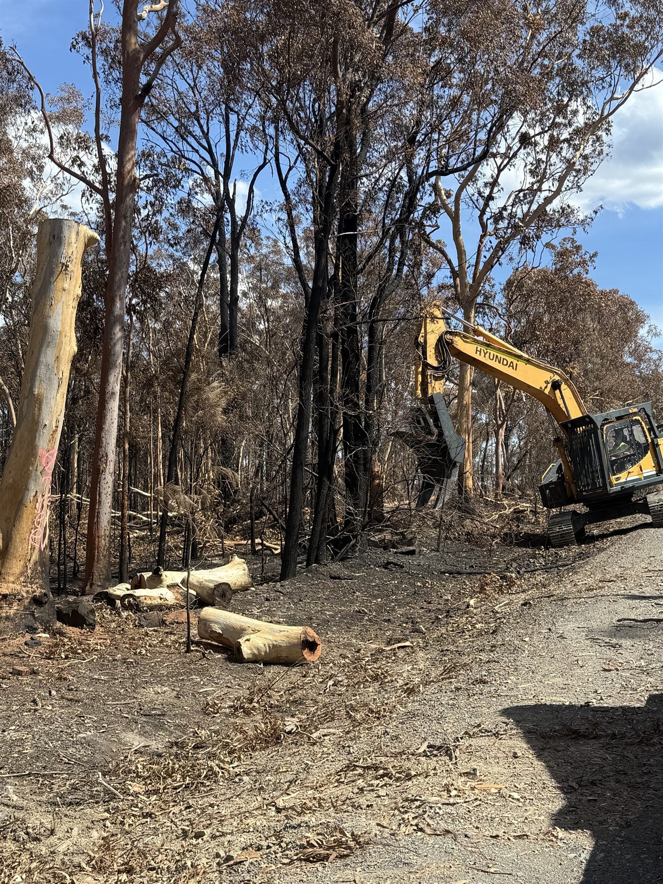 True Roots land clearing and bushfire hazard reduction work