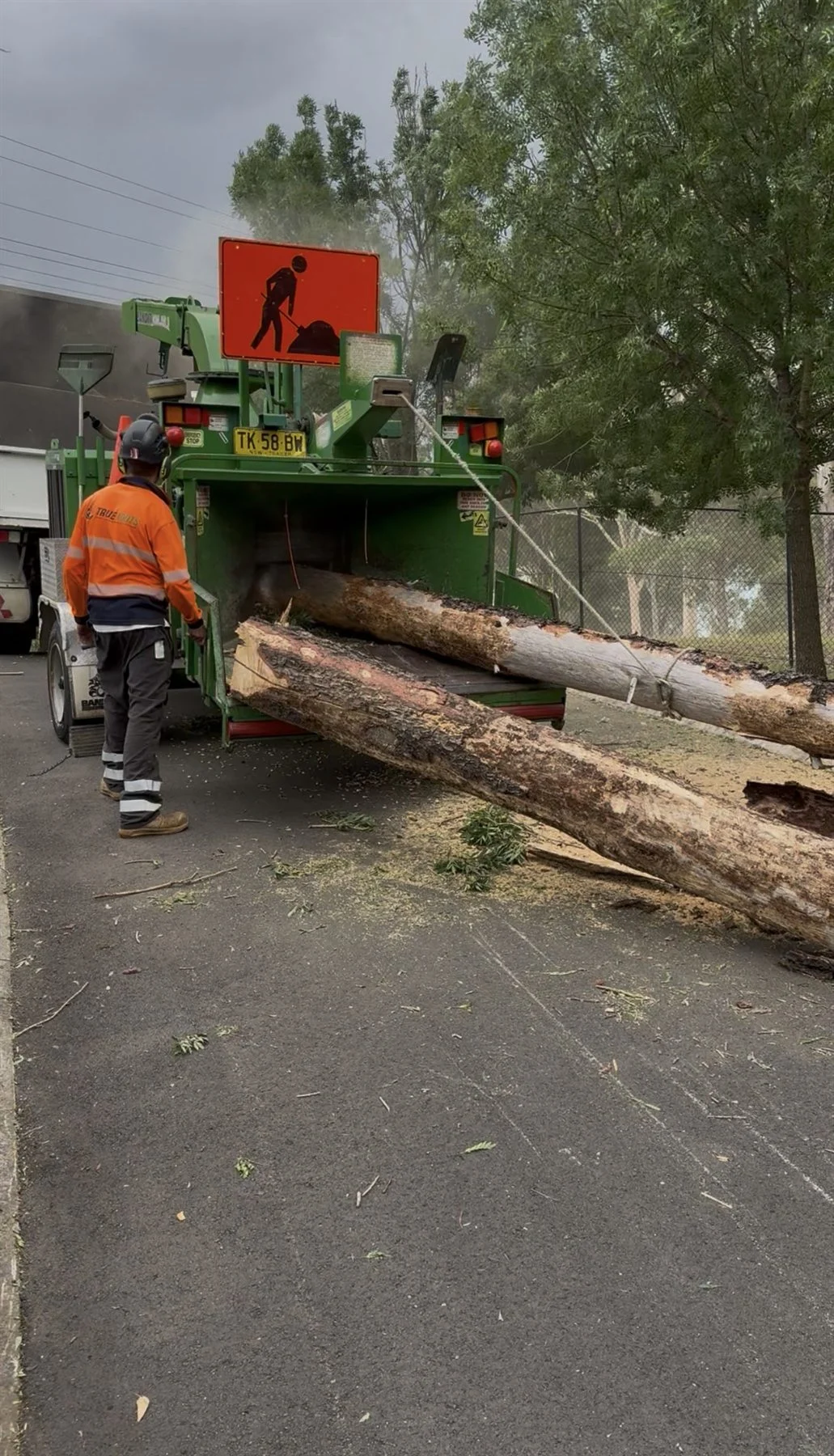 True Roots root and stump removal work