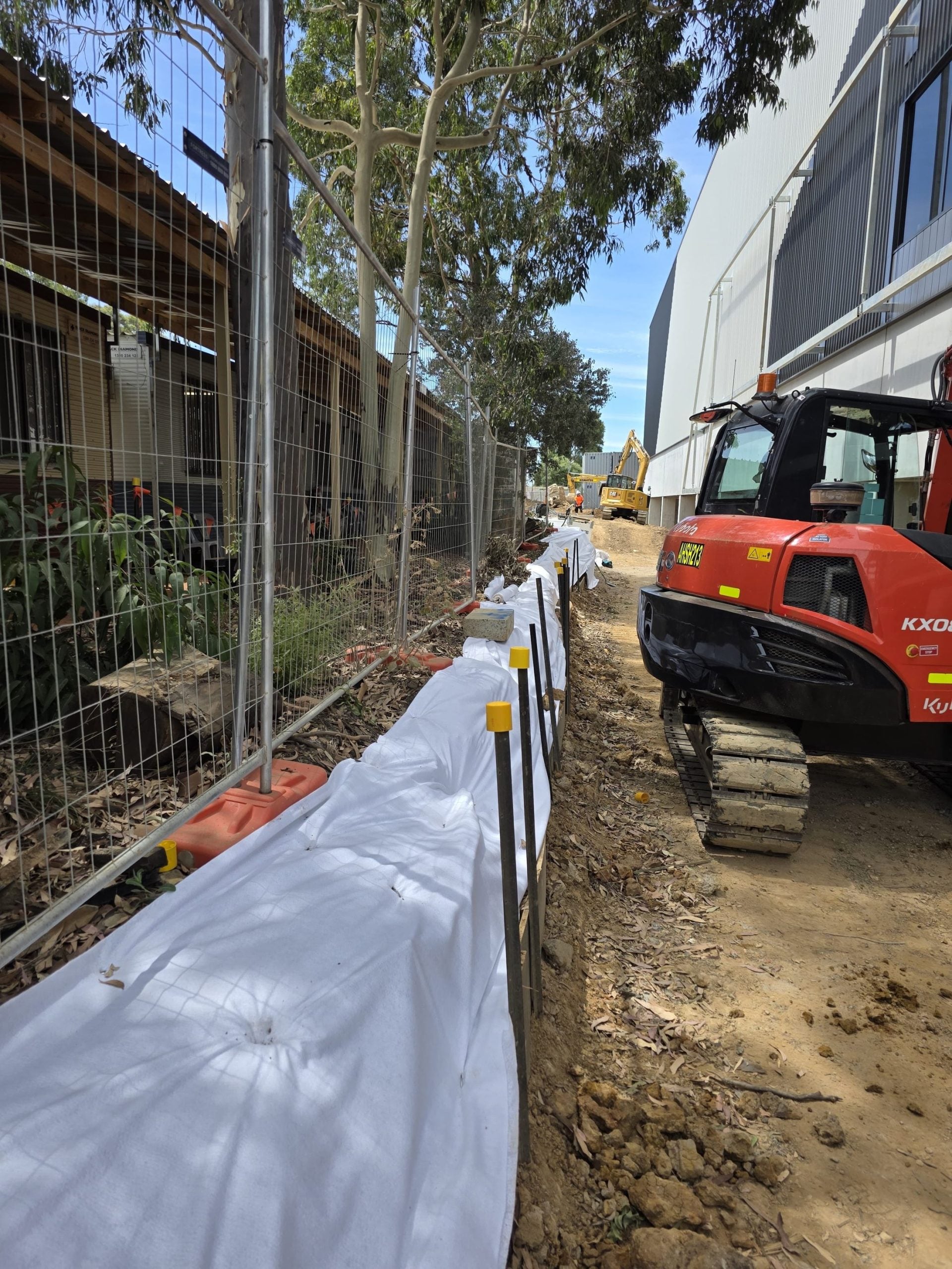 Strata tree removal Sydney — crew removing a hazardous tree on common property
