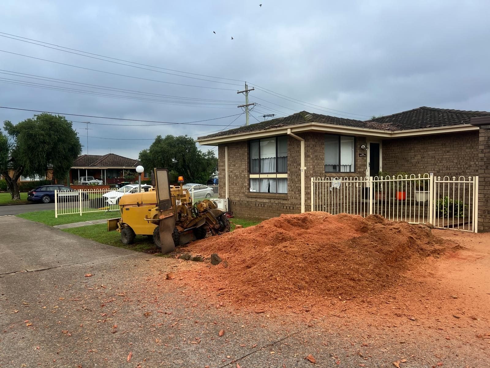 Large eucalyptus stump ground out by True Roots in Cronulla