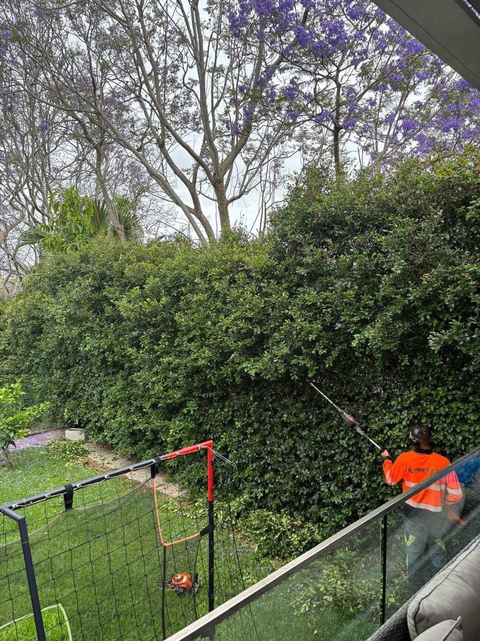 Hedge and front-garden makeover in Oatley by True Roots