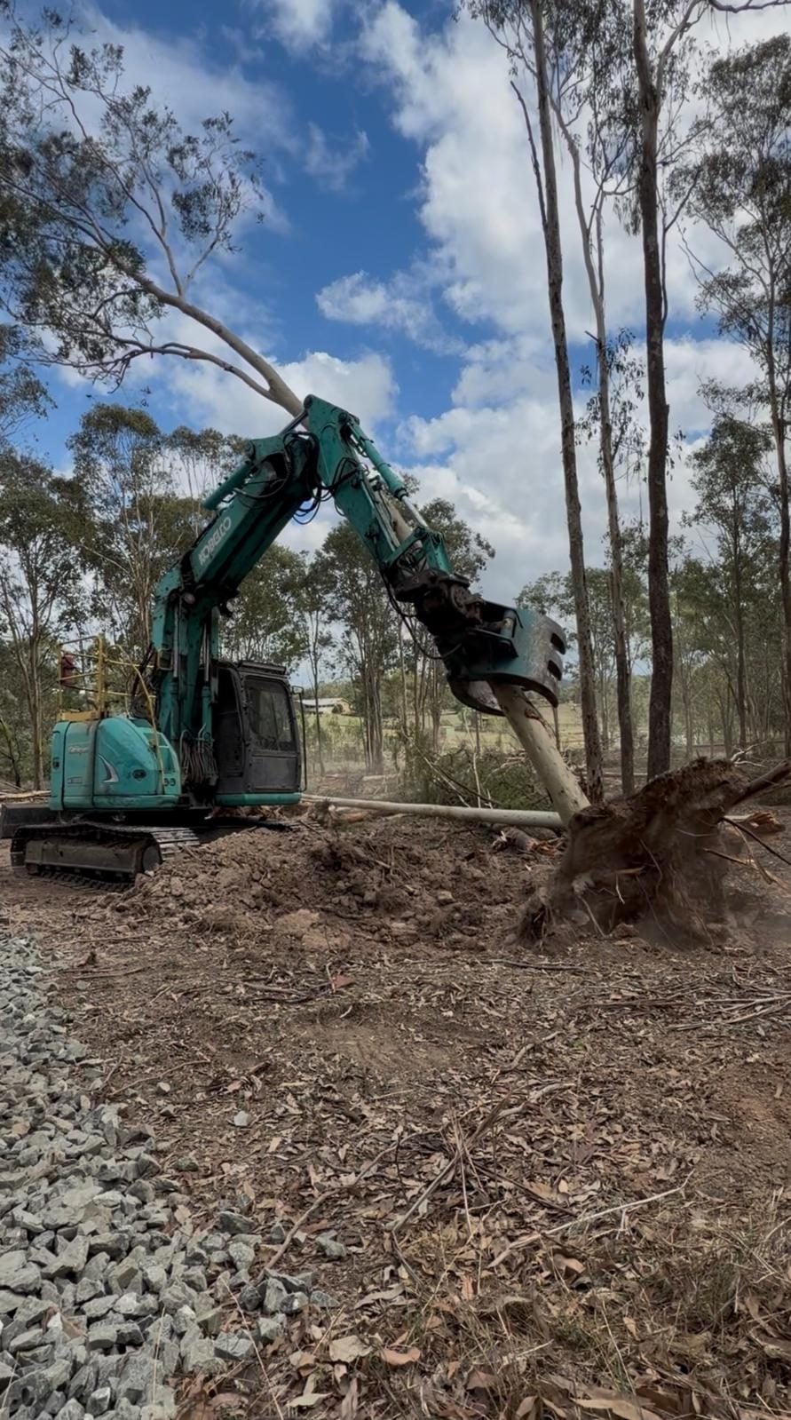True Roots clearing a Sydney site with a specialist excavator