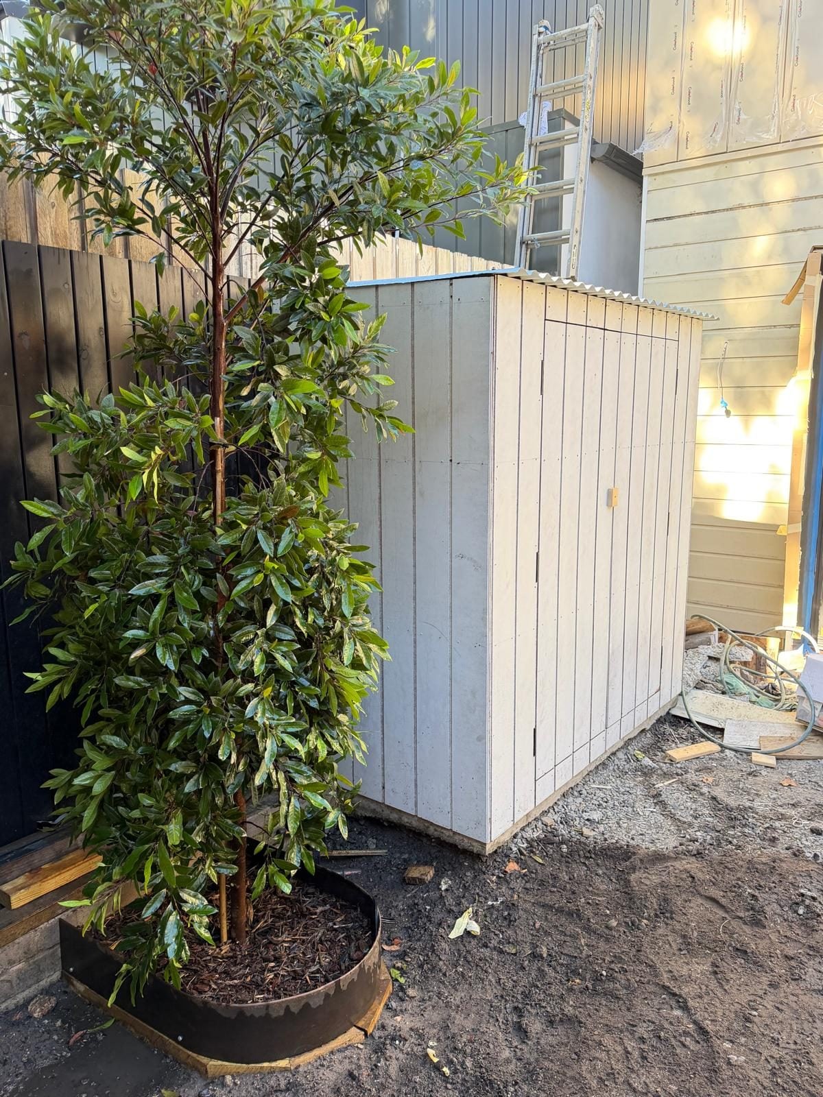 Landscaping & planting — St George area by True Roots near Penshurst