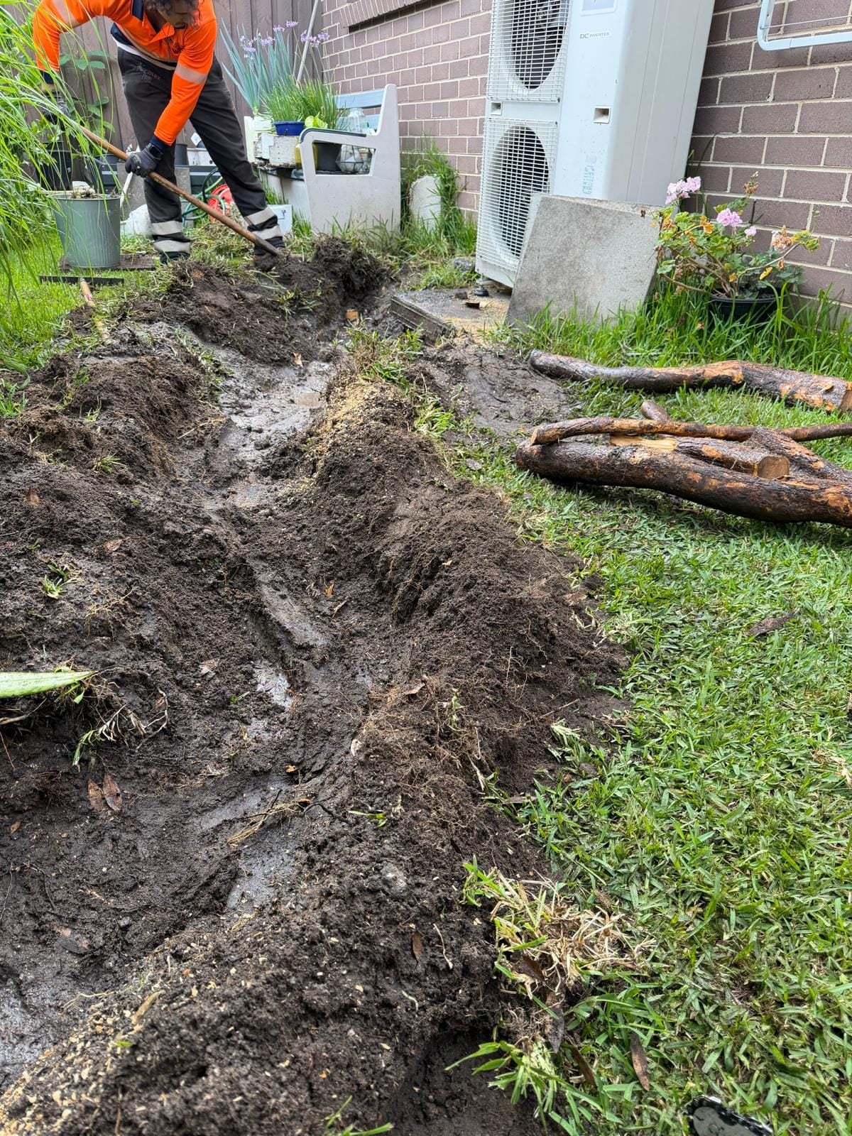 Area reinstated after root pruning and root barrier installation by True Roots