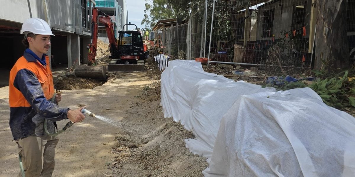 True Roots root remediation and root barrier installation on a Sydney property