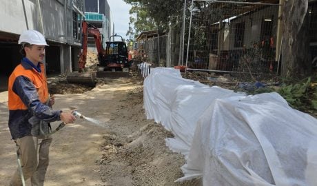 True Roots root remediation and root barrier installation on a Sydney property