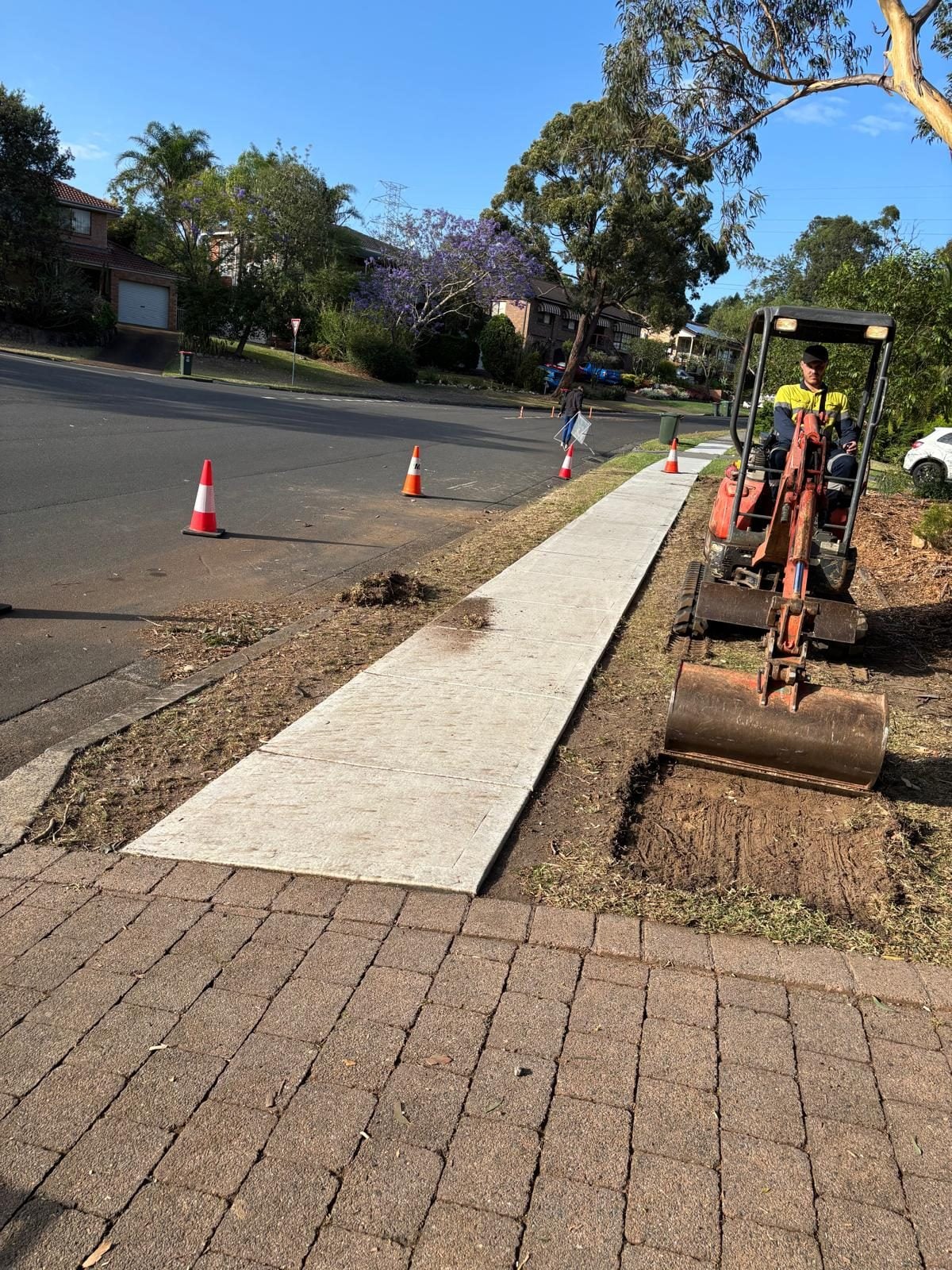 Turf & landscaping — Sutherland Shire by True Roots near Como