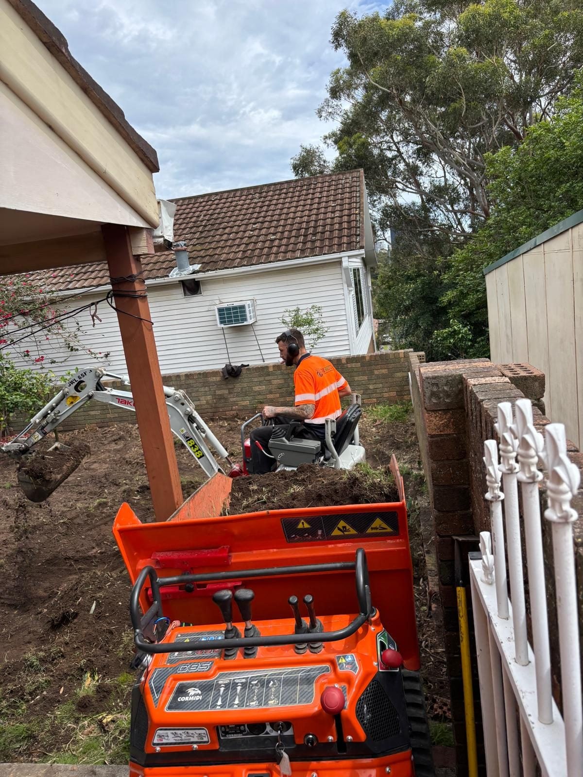 Strata tree management Sydney — True Roots crew on common property tree works