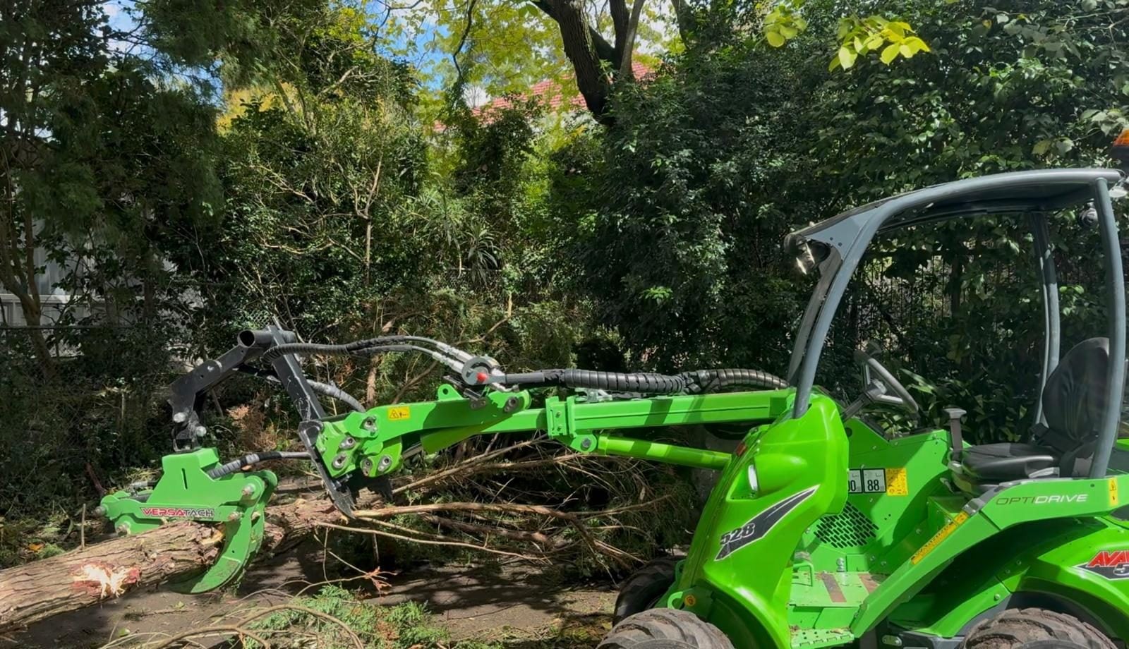 Tree services Sydney — stump grinding after removal