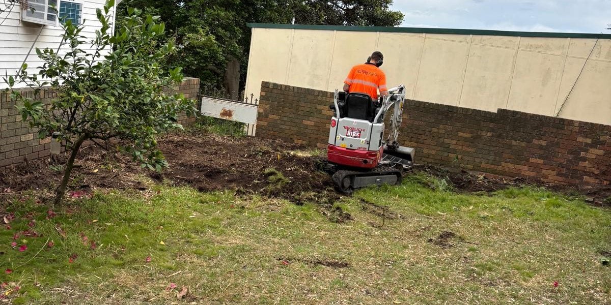 Backyard excavation and landscaping preparation in Miranda by True Roots