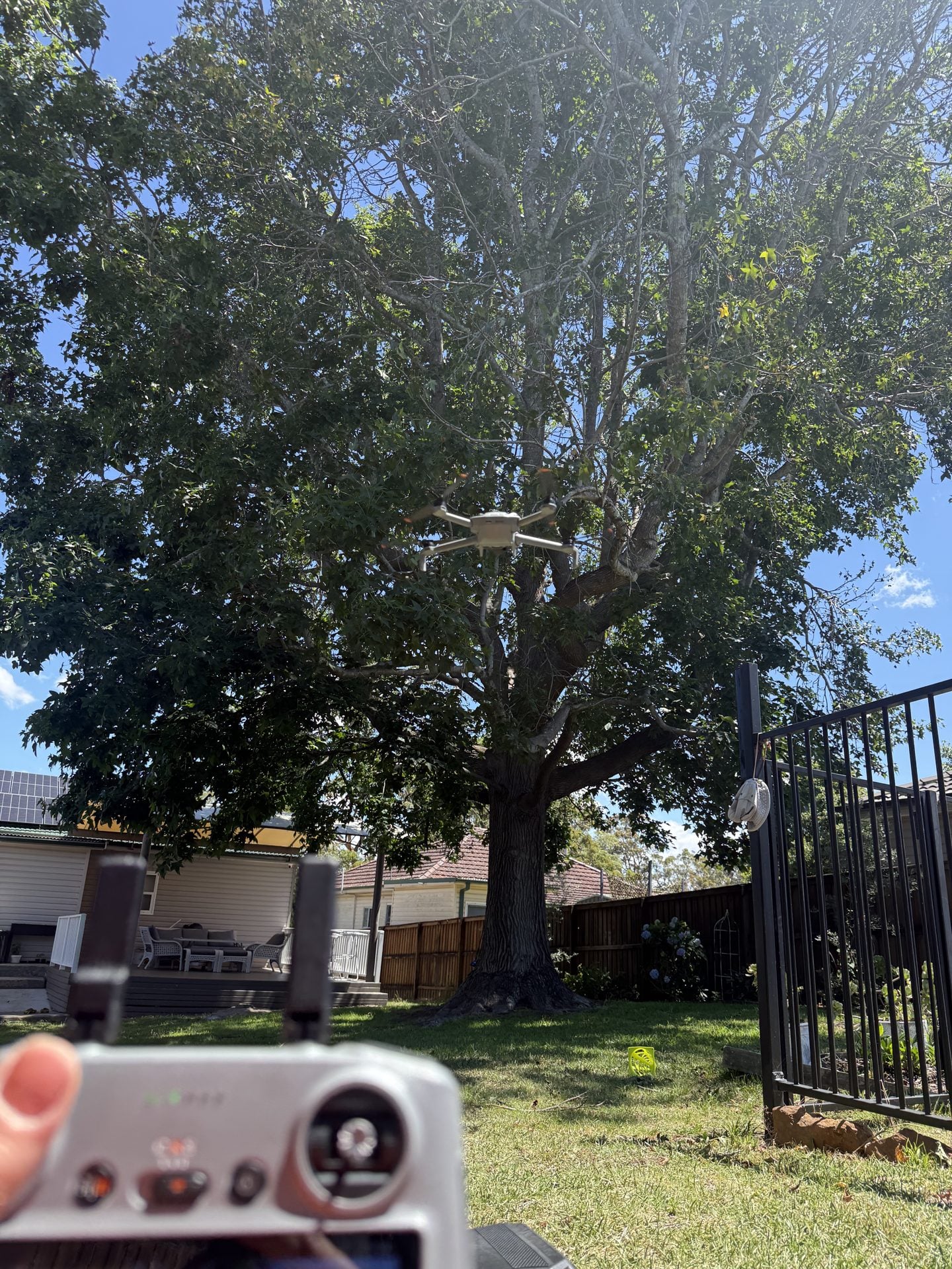 Aerial canopy inspection during tree services Mosman — drone survey before pruning