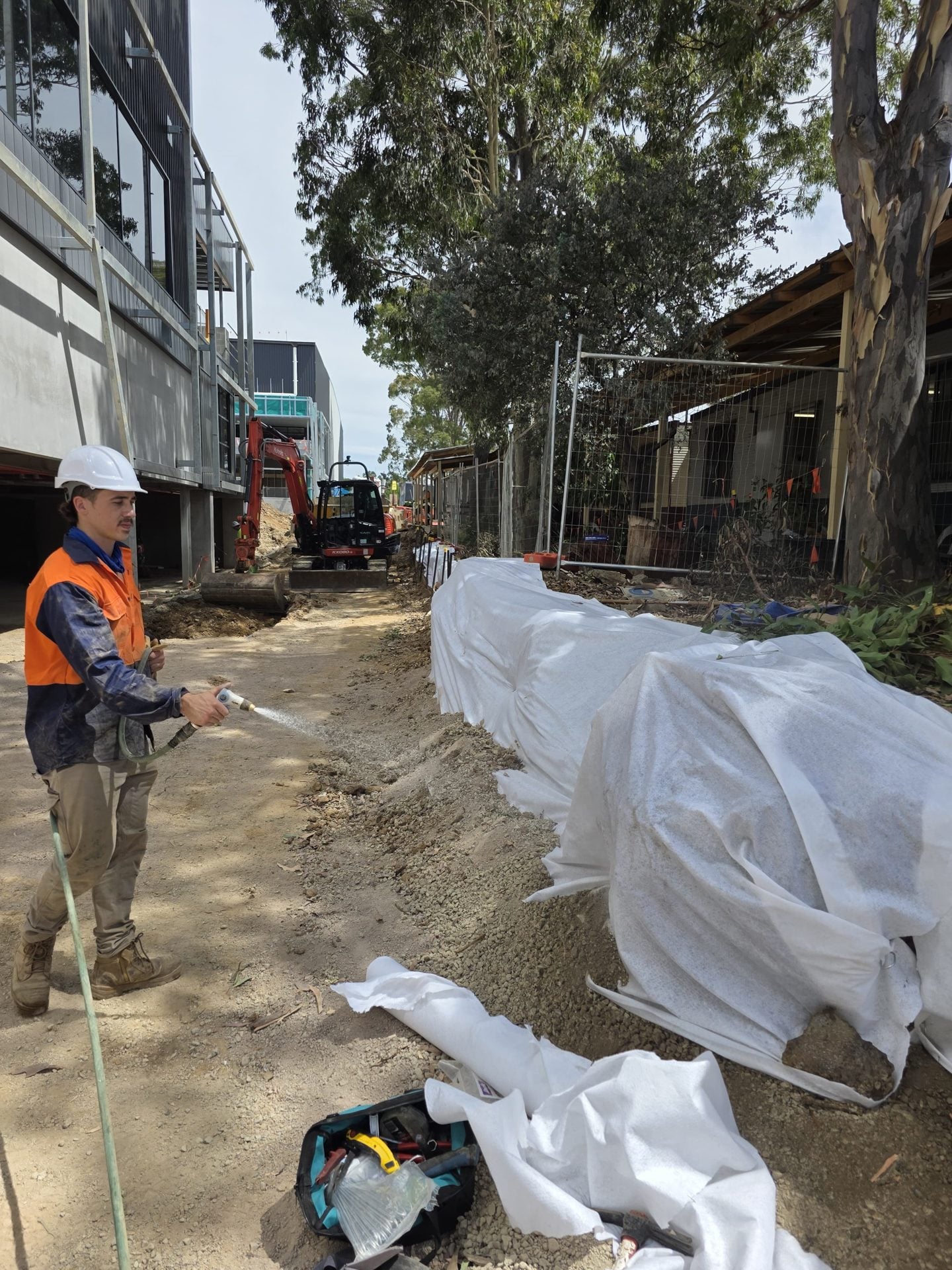 True Roots root remediation and site protection