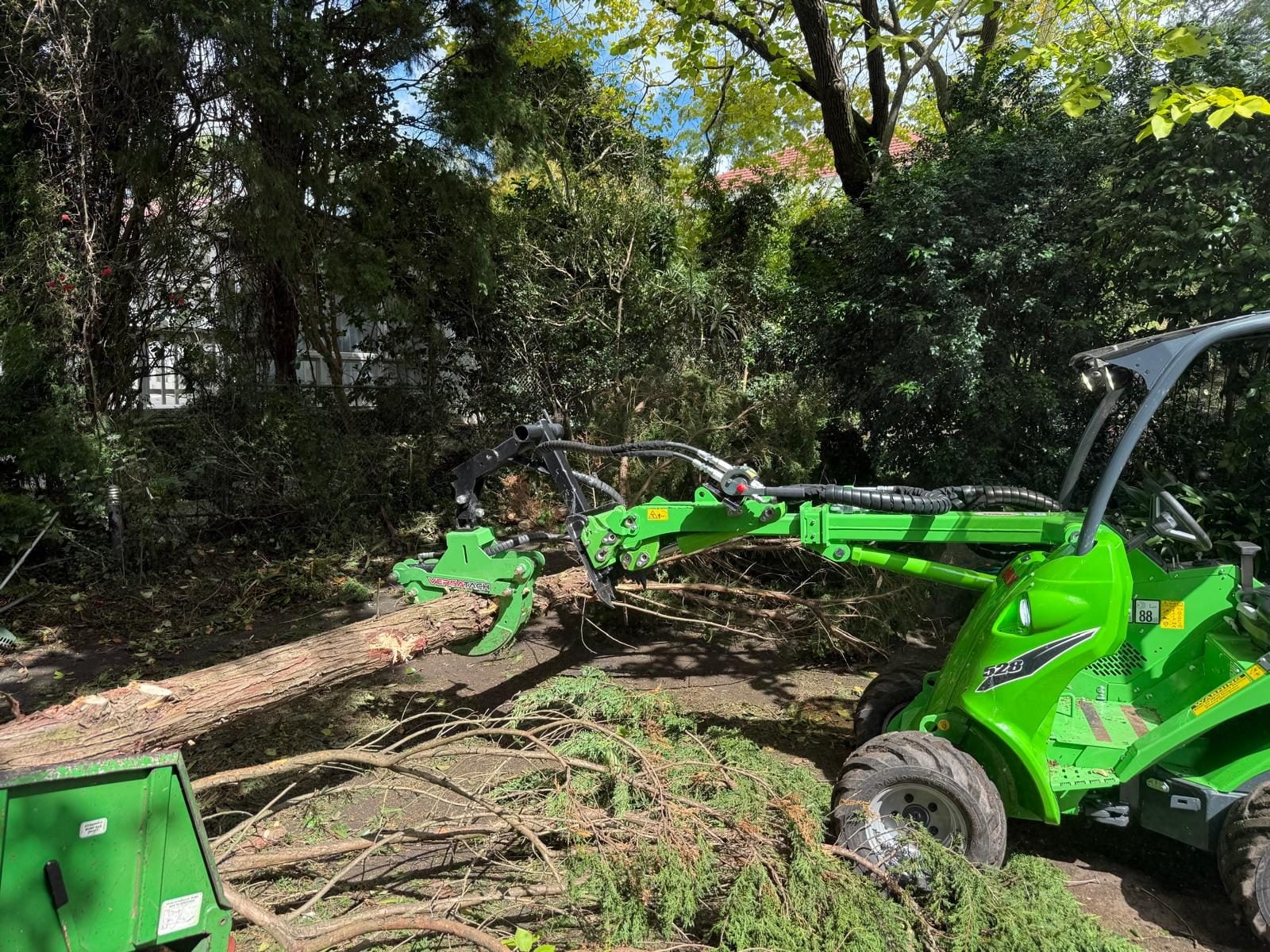 Tree services Como — sectional dismantle of a large gum by True Roots