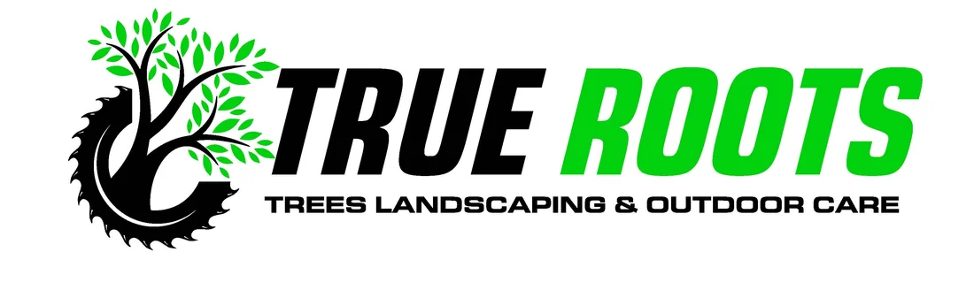 True Roots — Sydney arborists and landscaping