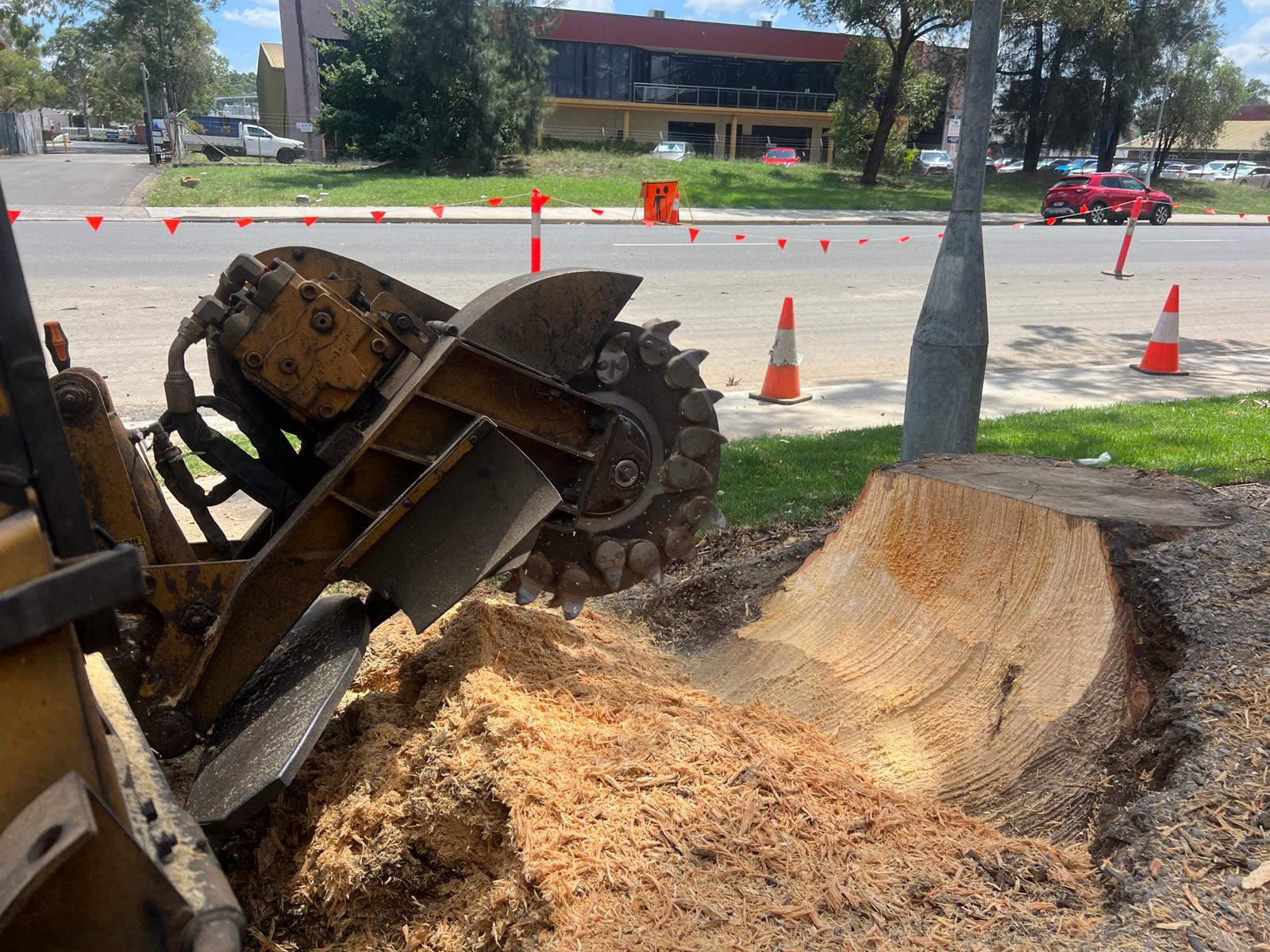 Rayco 100hp stump grinder working halfway through a large stump in Minto