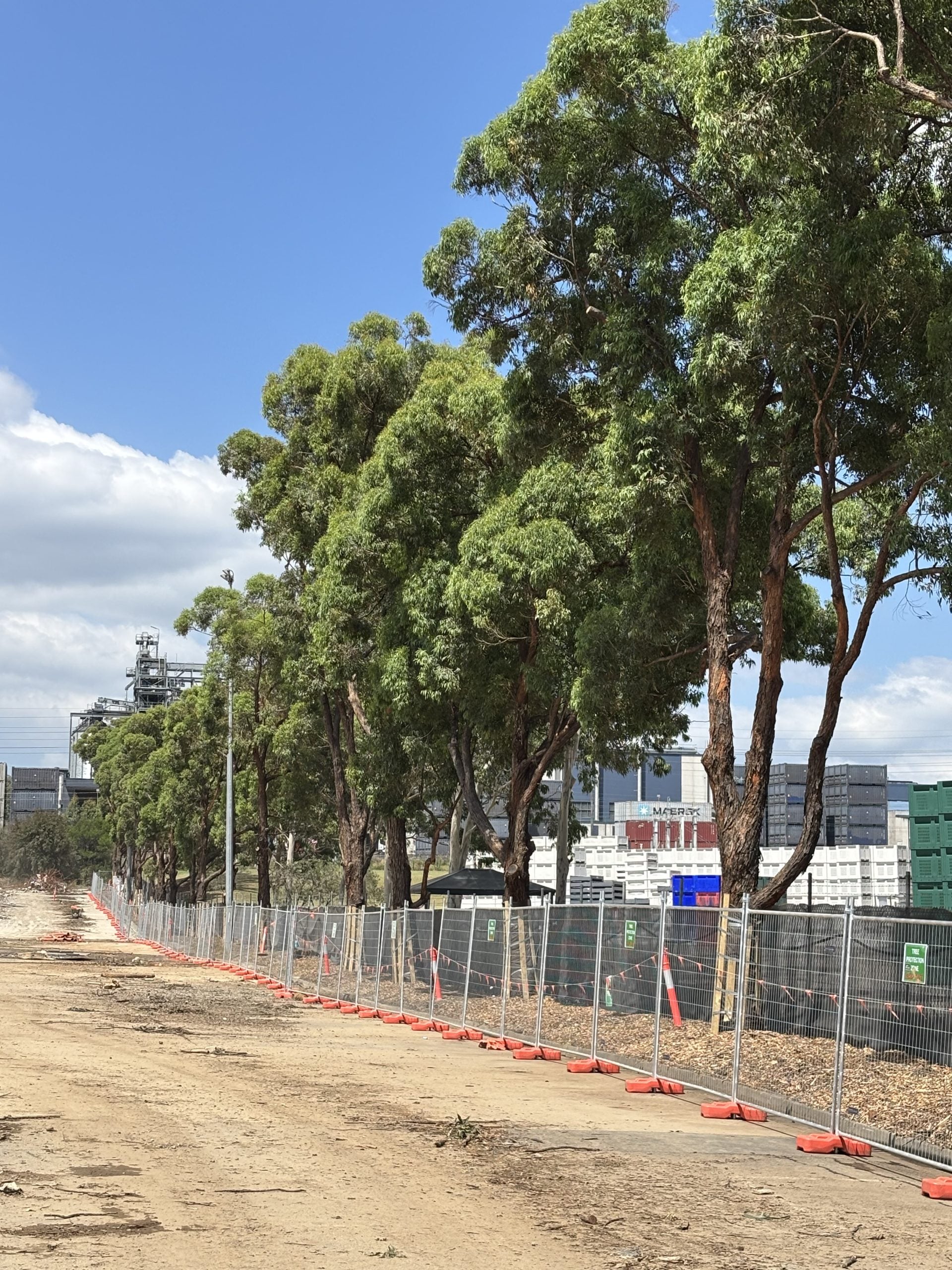 Tree Protection Zone management and final certification on the Texco commercial project in Minto