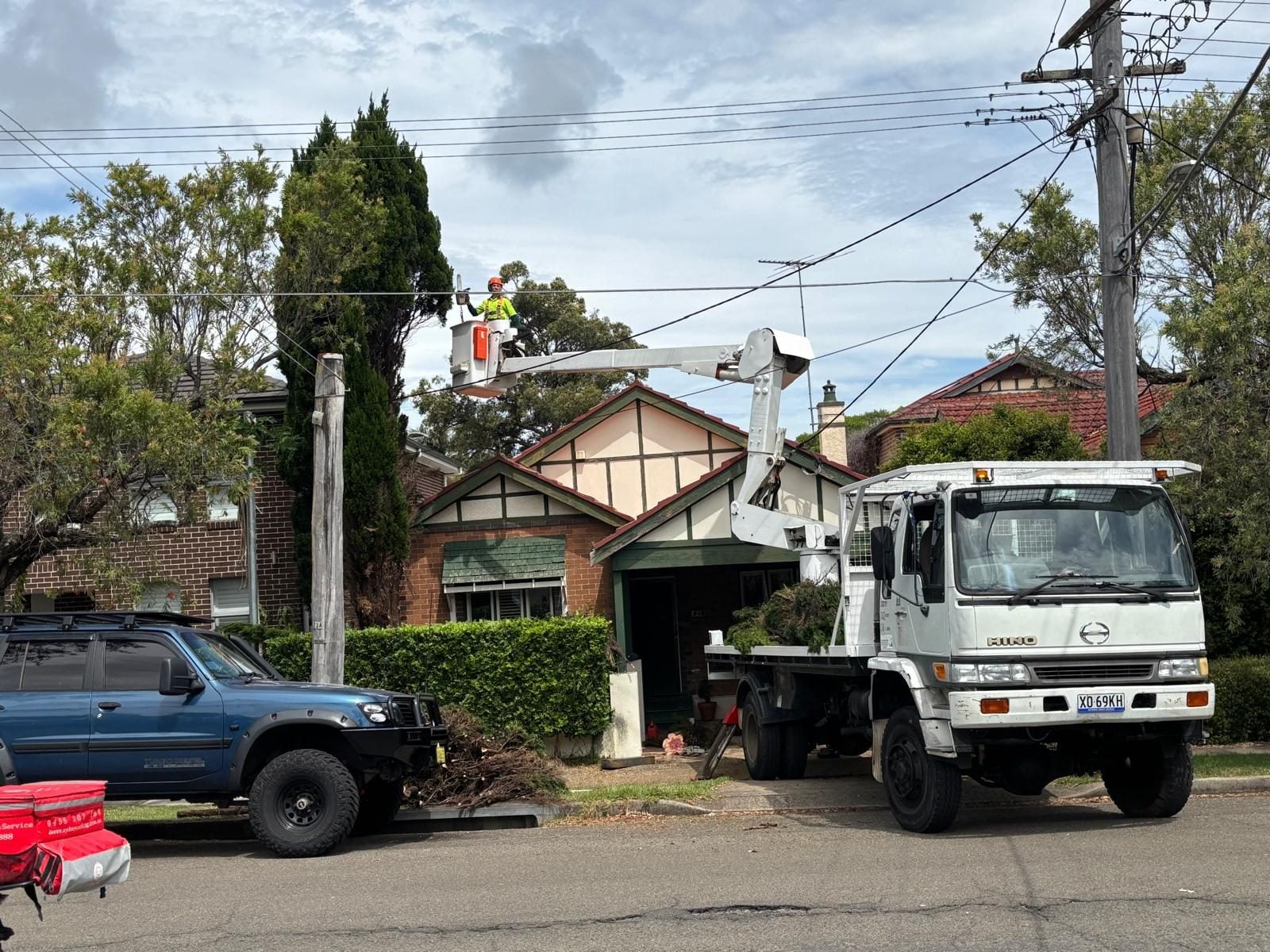 True Roots arborist trimming and managing vegetation in Mortdale, Sydney
