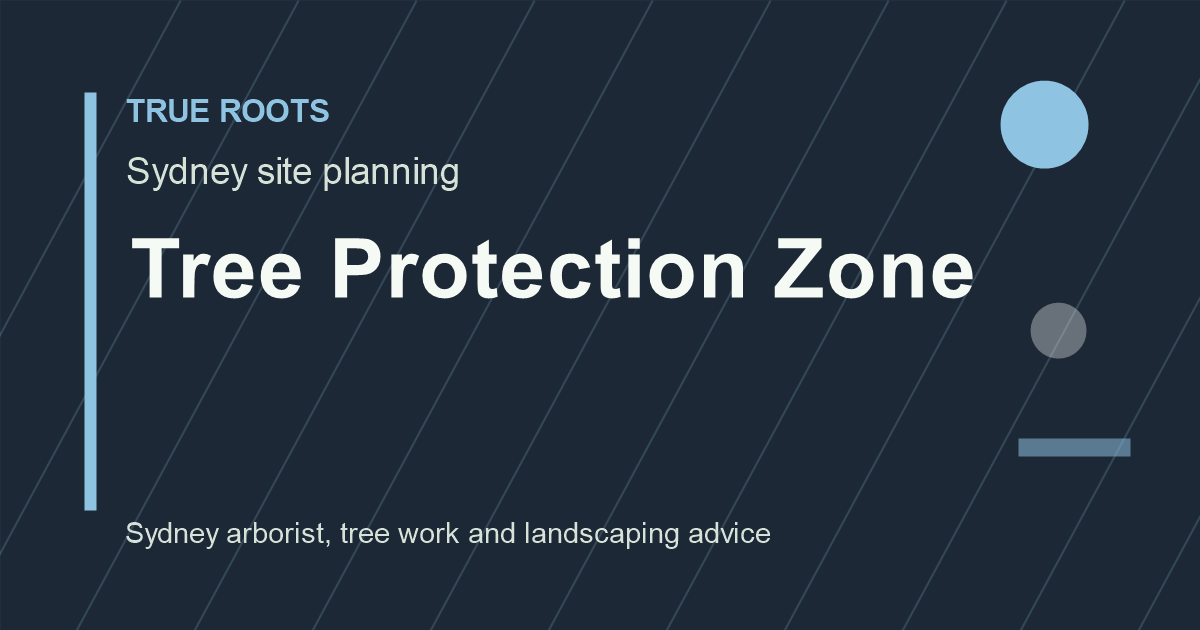 Tree protection zone assessment for an arborist report Sydney DA